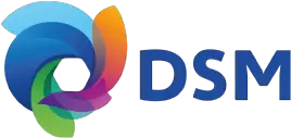 DSM