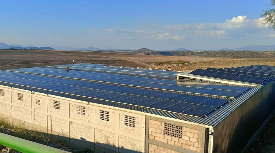 Solar Tapatia – Taller