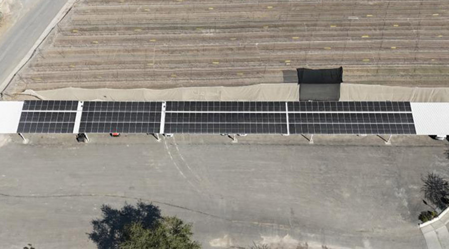 Solar Tapatia – Oficinas