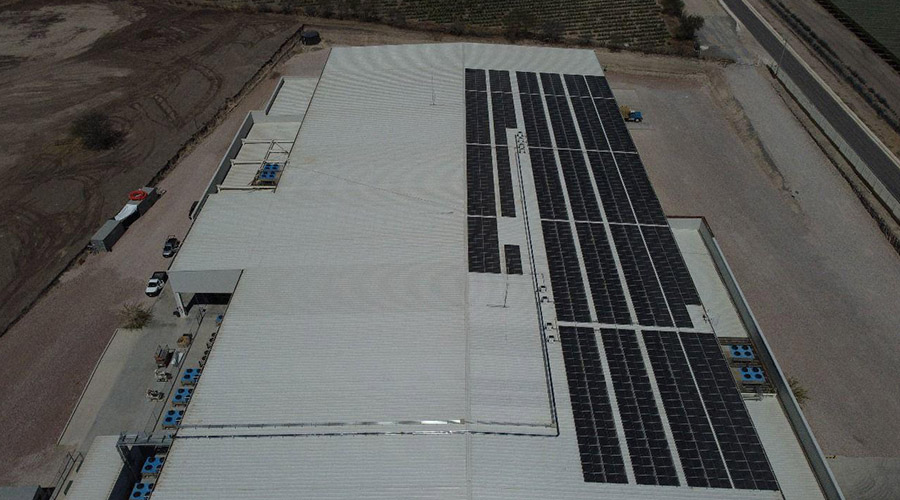 Solar Tapatia – Proyecto Empaque